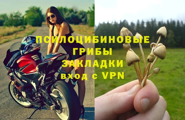 Альфа ПВП Новокубанск