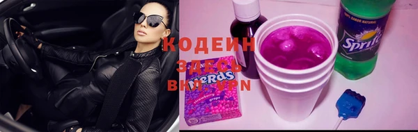 метадон Ельня