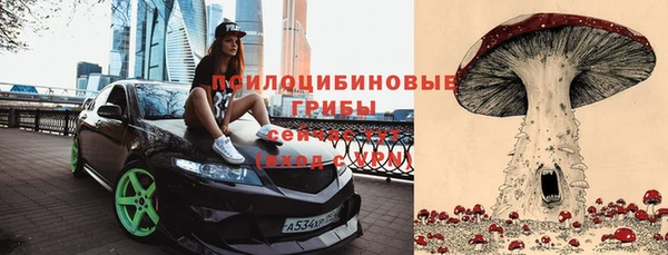 герыч Новозыбков
